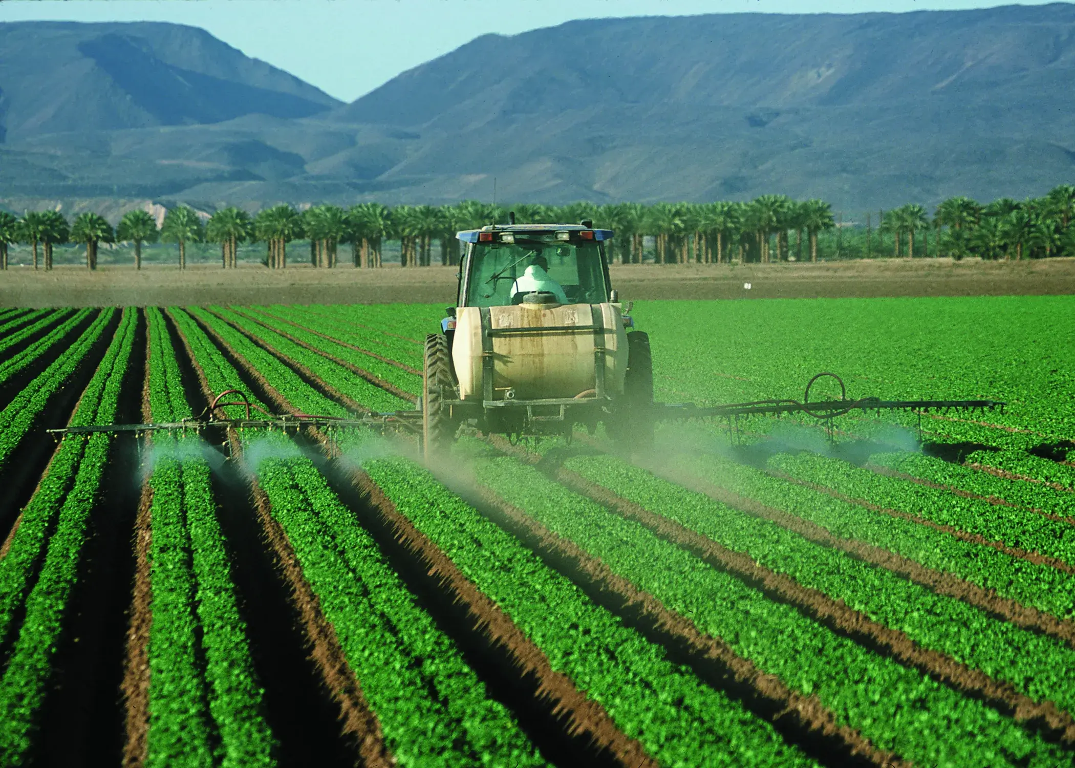 Agriculture